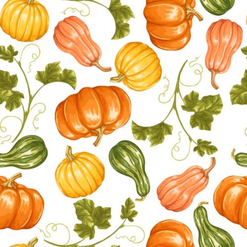 Pumpkins and Harvest